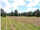 Lot 8 Toms Gully Road, Hickeys Creek NSW 2440