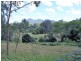 Lot 8 Toms Gully Road, Hickeys Creek NSW 2440