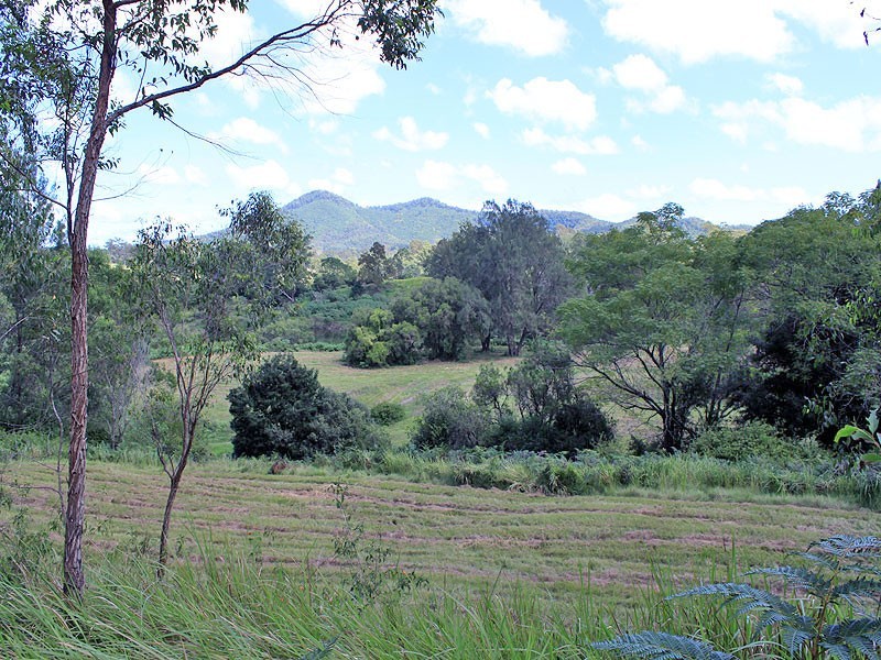 Lot 8 Toms Gully Road, Hickeys Creek NSW 2440
