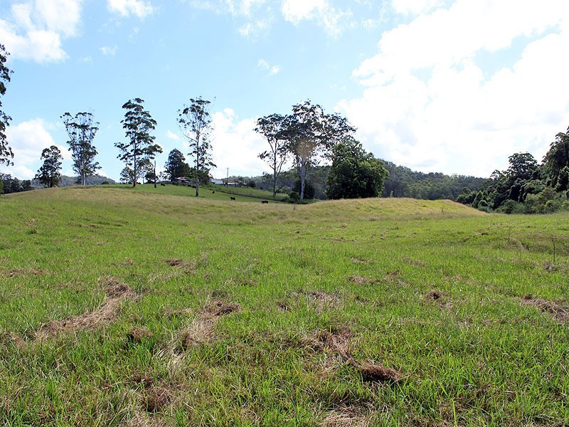Lot 8 Toms Gully Road, Hickeys Creek NSW 2440