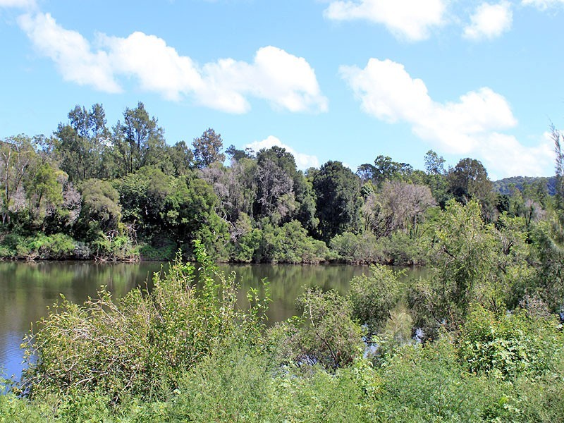 Lot 8 Toms Gully Road, Hickeys Creek NSW 2440
