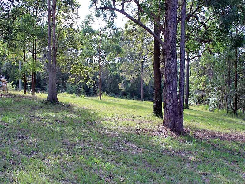 46 Everinghams Lane, Frederickton NSW 2440
