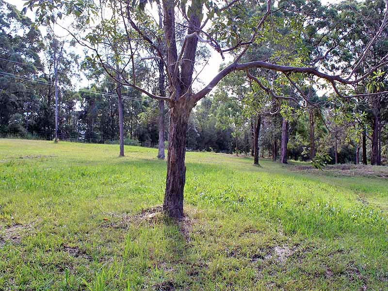 46 Everinghams Lane, Frederickton NSW 2440