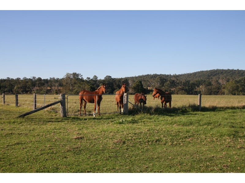 133 Turners Flat Road, Turners Flat NSW 2440