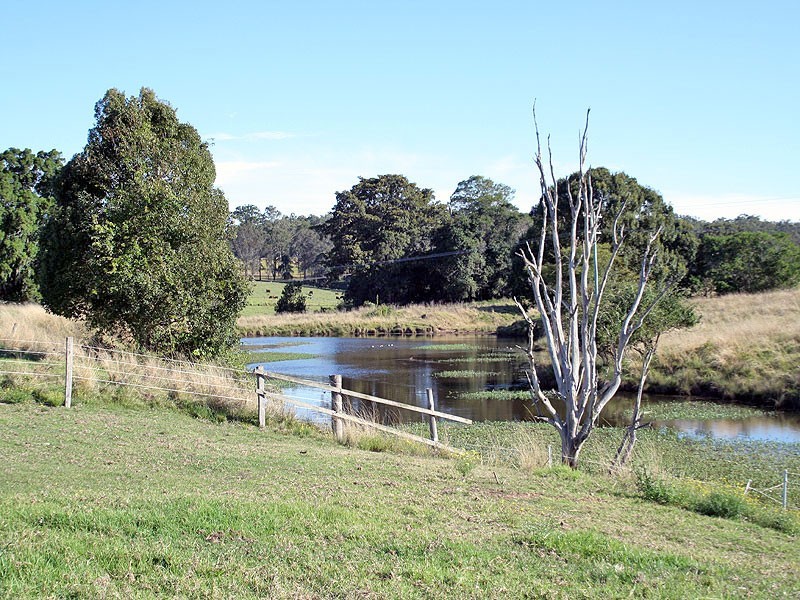 133 Turners Flat Road, Turners Flat NSW 2440