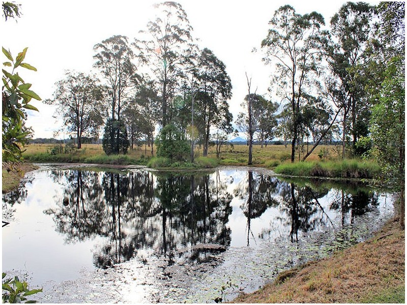 190 Turners Flat Road, Turners Flat NSW 2440