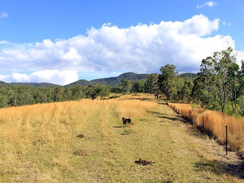 1040 Willi Willi Road, Turners Flat NSW 2440