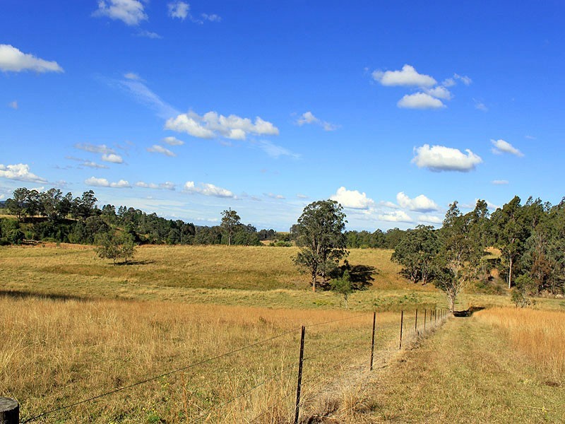 1040 Willi Willi Road, Turners Flat NSW 2440