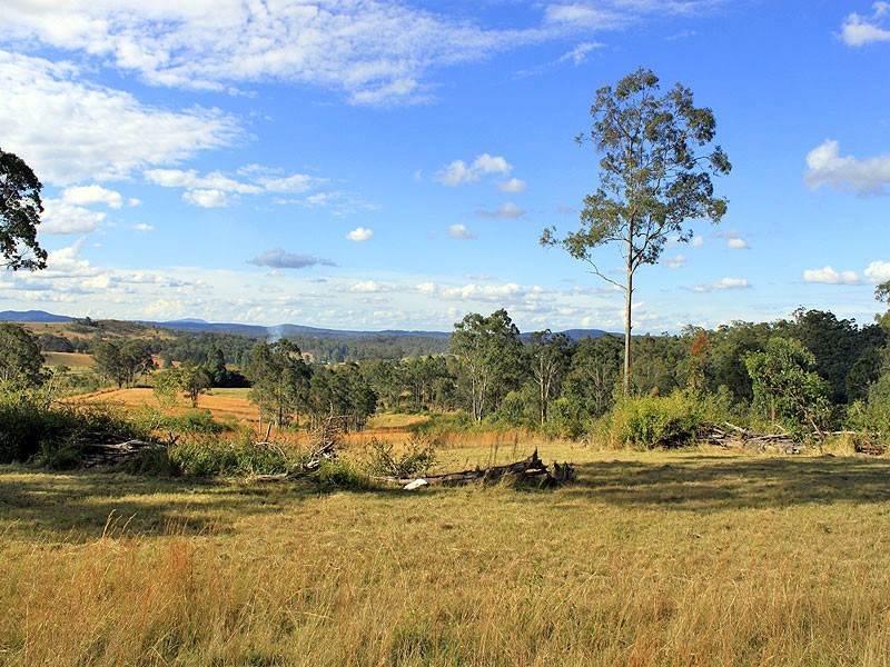 1040 Willi Willi Road, Turners Flat NSW 2440