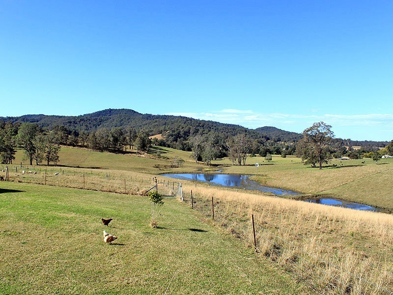 2954 Armidale Road, Hickeys Creek NSW 2440