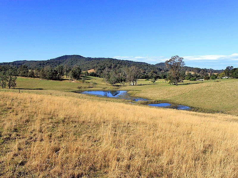 2954 Armidale Road, Hickeys Creek NSW 2440