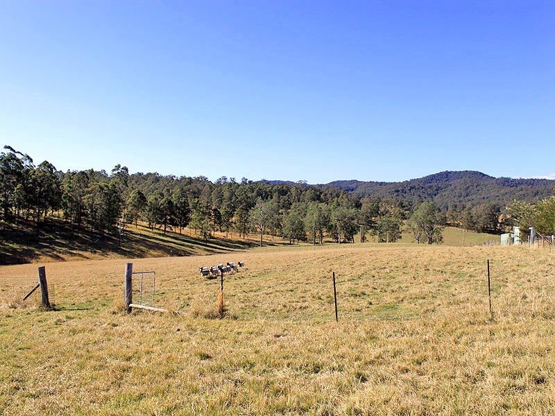 2954 Armidale Road, Hickeys Creek NSW 2440