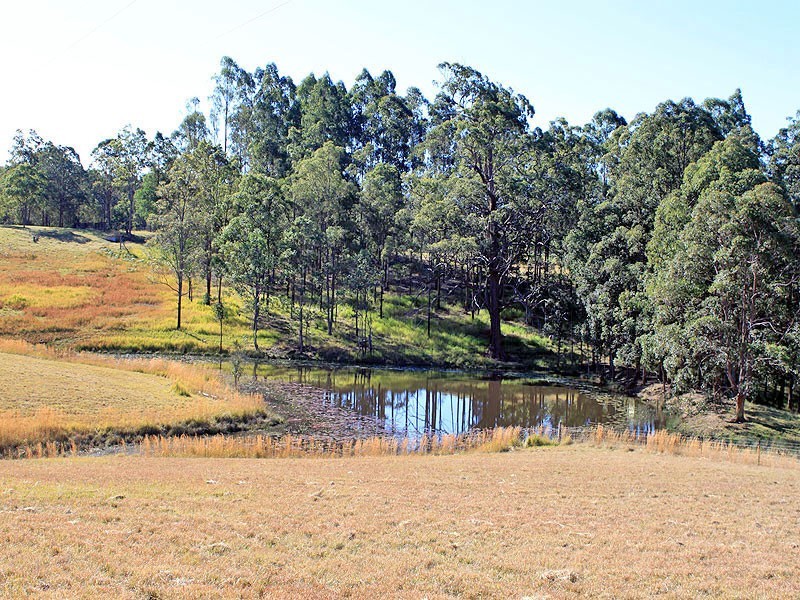 2954 Armidale Road, Hickeys Creek NSW 2440
