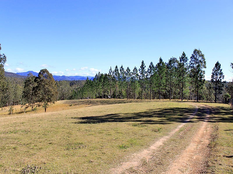 40 Stony Creek Lane, Temagog NSW 2440