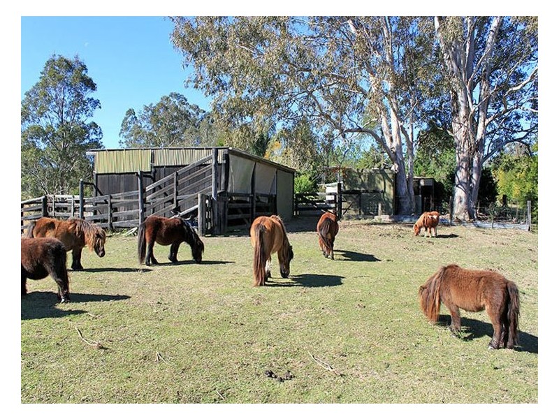 40 Stony Creek Lane, Temagog NSW 2440