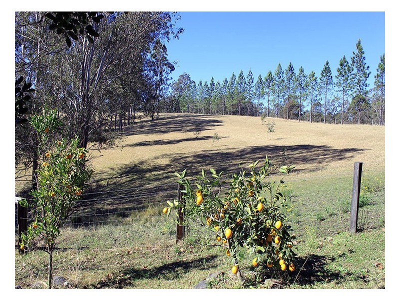 40 Stony Creek Lane, Temagog NSW 2440