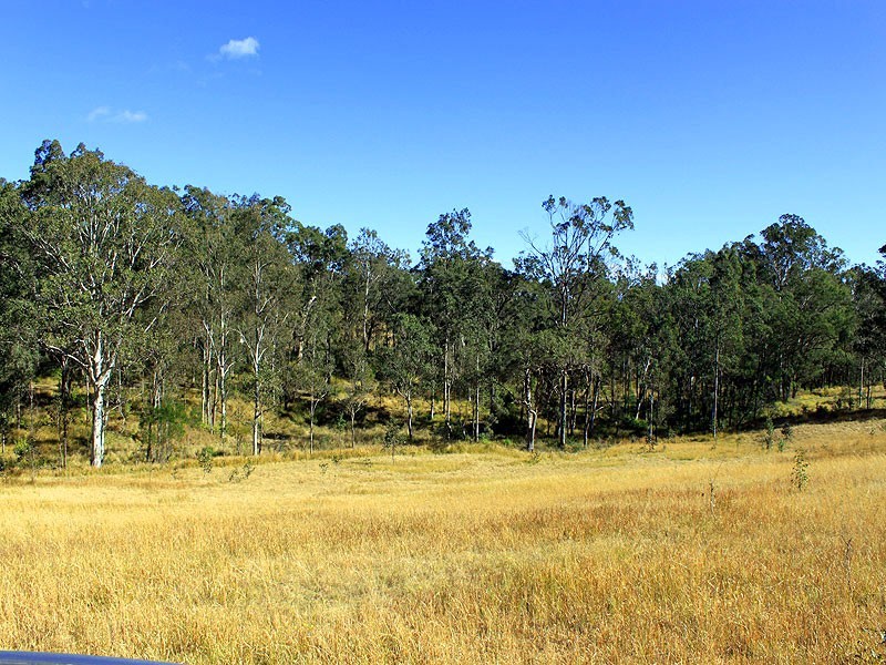 40 Stony Creek Lane, Temagog NSW 2440