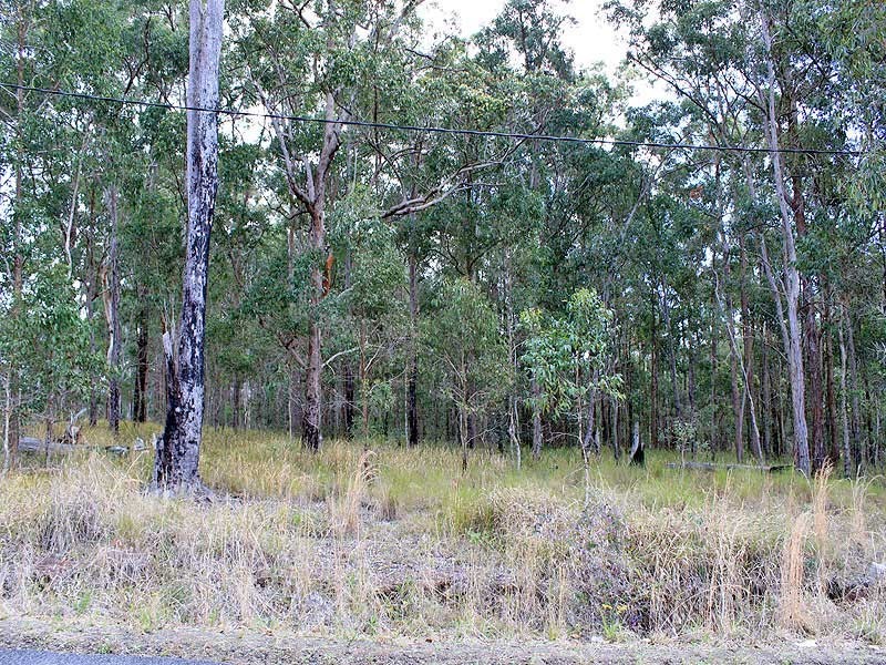 Lot 13 Pipers Creek Road, Dondingalong NSW 2440