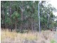 Lot 13 Pipers Creek Road, Dondingalong NSW 2440