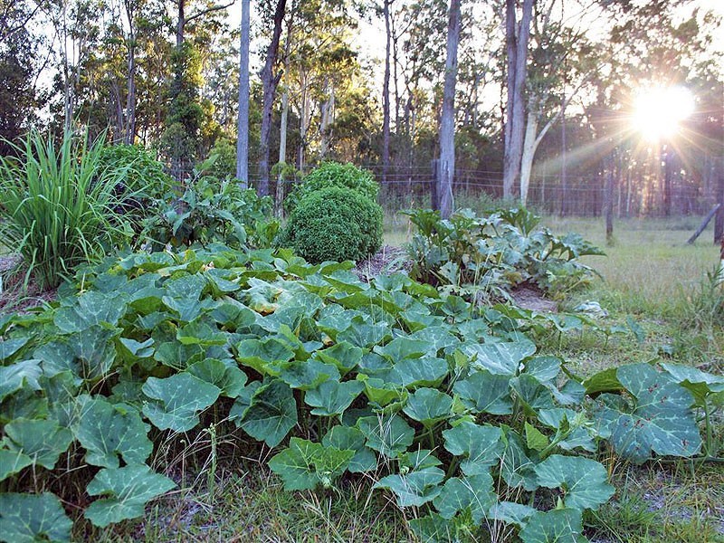 59 The Orange Road, Crescent Head NSW 2440