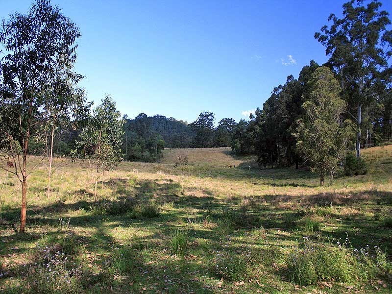 34 Cedar Crossing, Collombatti NSW 2440
