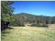 34 Cedar Crossing, Collombatti NSW 2440