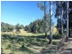 34 Cedar Crossing, Collombatti NSW 2440