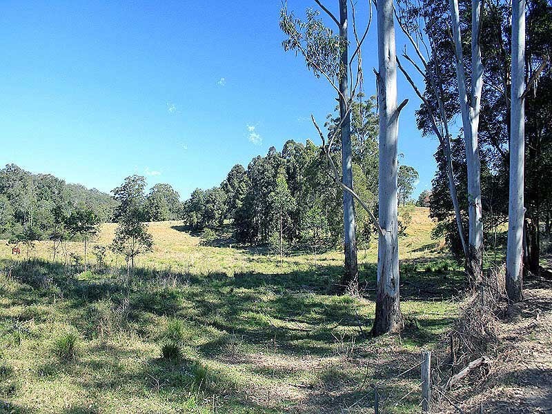 34 Cedar Crossing, Collombatti NSW 2440
