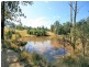 34 Cedar Crossing, Collombatti NSW 2440