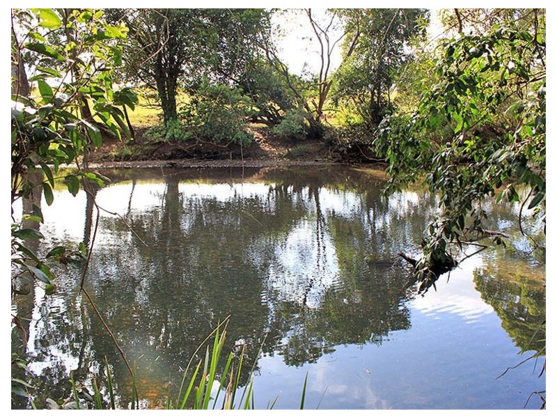 133 Clarkes Road, Yessabah NSW 2440