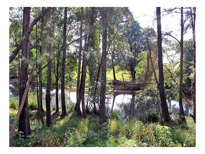 133 Clarkes Road, Yessabah NSW 2440