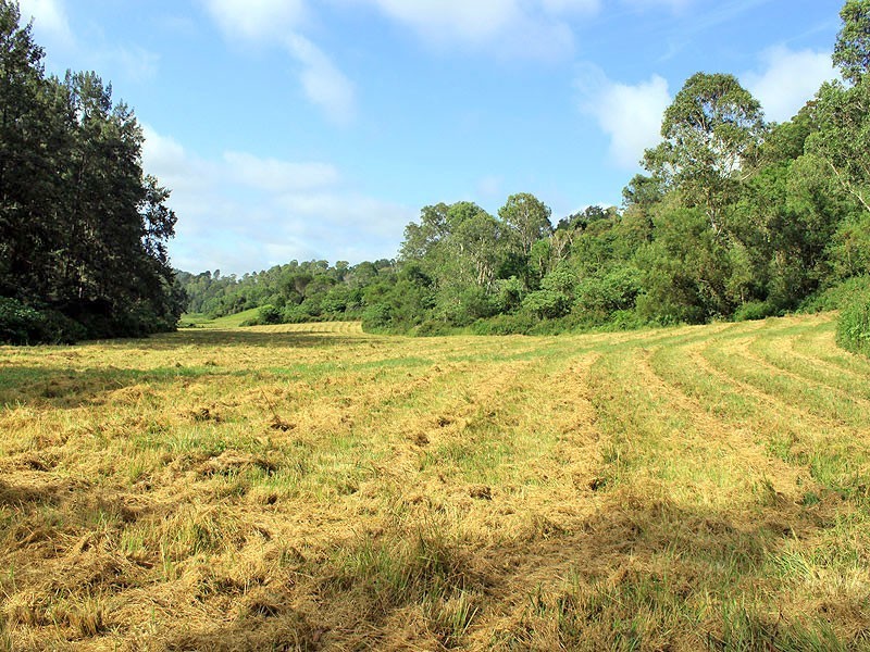 133 Clarkes Road, Yessabah NSW 2440