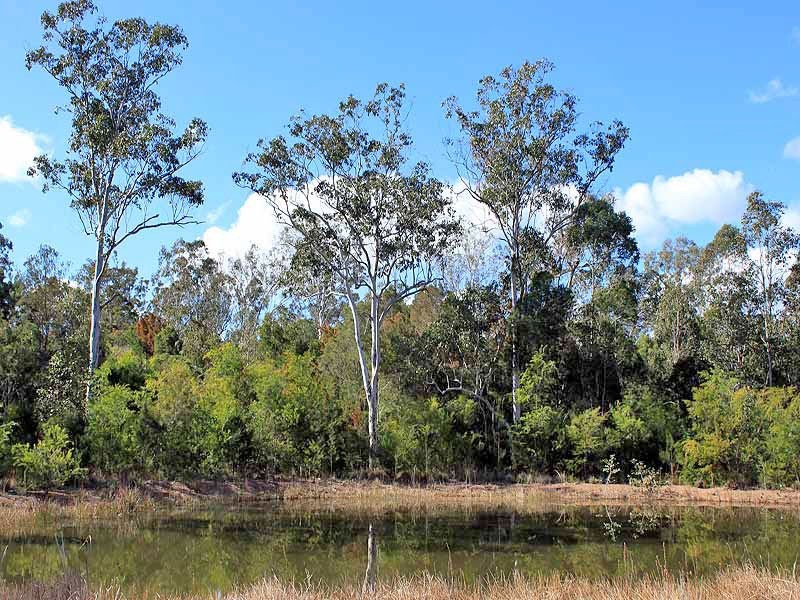 Lot 3 Amber Way, Kundabung NSW 2441