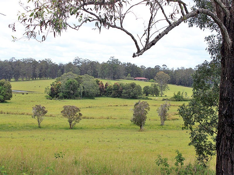 27 Hallelujah Drive, Collombatti NSW 2440