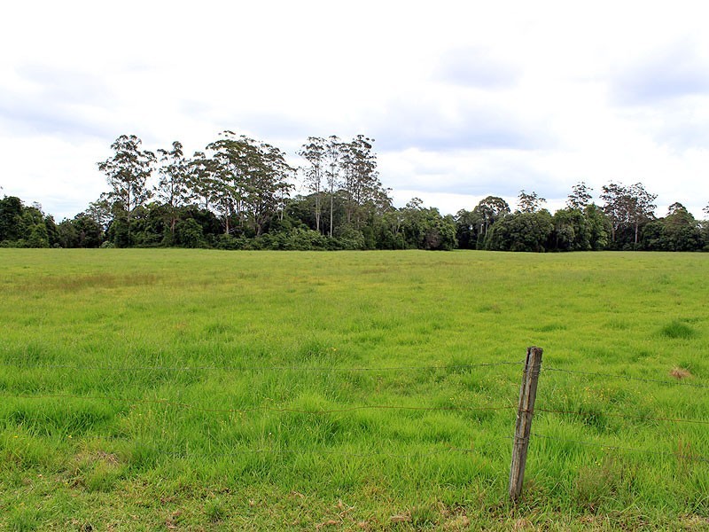 27 Hallelujah Drive, Collombatti NSW 2440