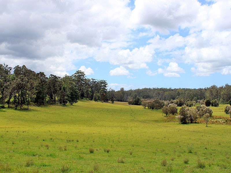 27 Hallelujah Drive, Collombatti NSW 2440