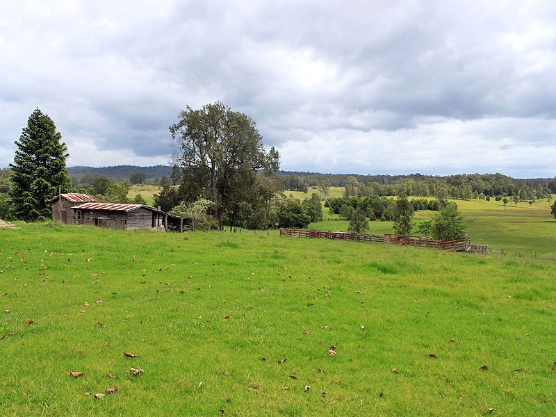 117 Hallelujah Drive, Collombatti NSW 2440