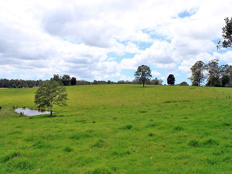 117 Hallelujah Drive, Collombatti NSW 2440