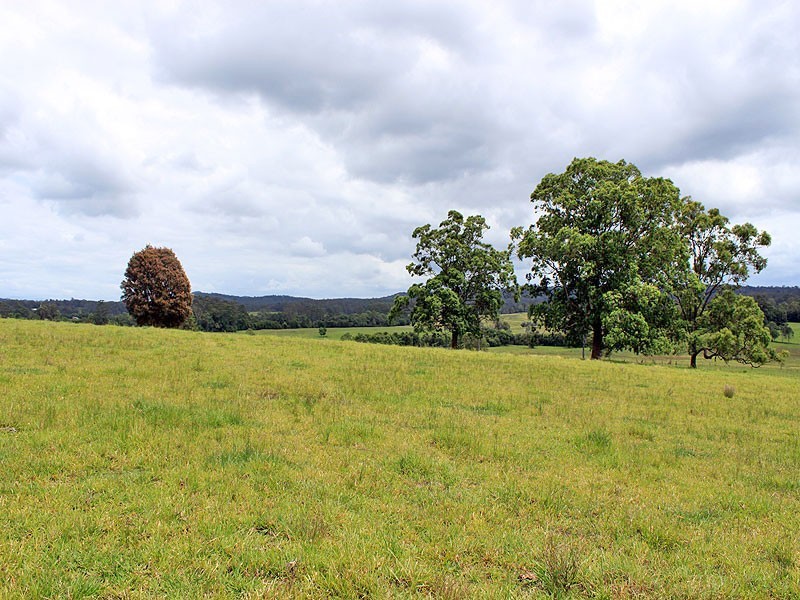 117 Hallelujah Drive, Collombatti NSW 2440