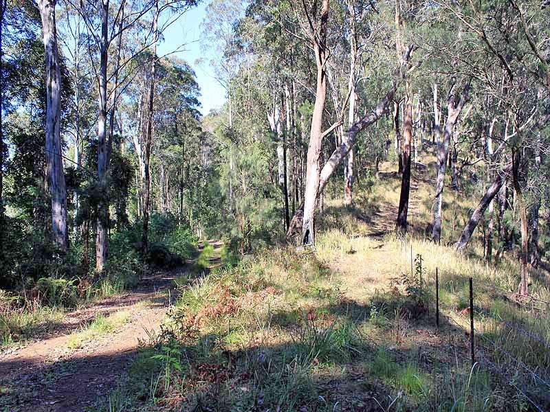 Lot 20 Toorumbee Rd, Moparrabah NSW 2440