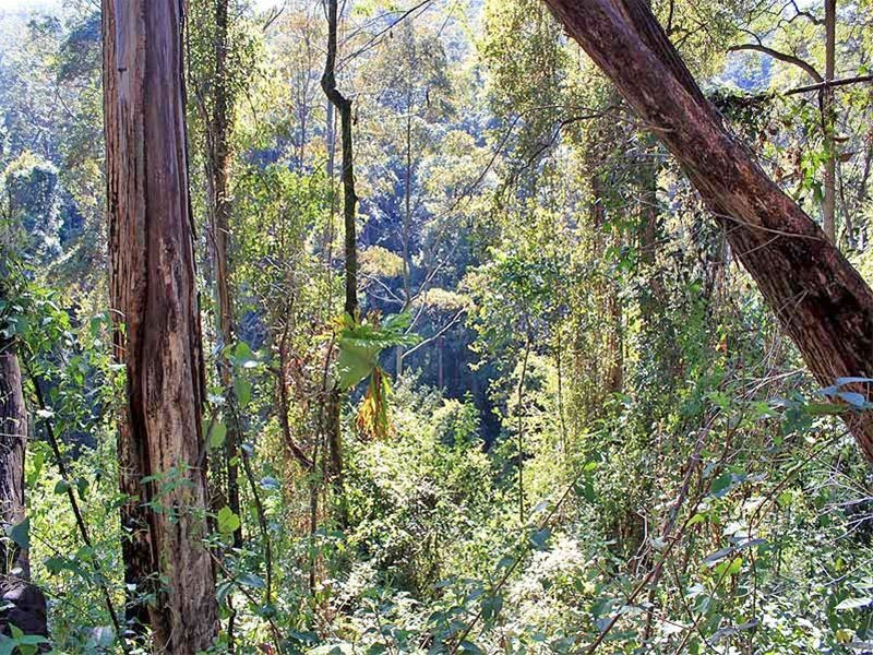 Lot 20 Toorumbee Rd, Moparrabah NSW 2440