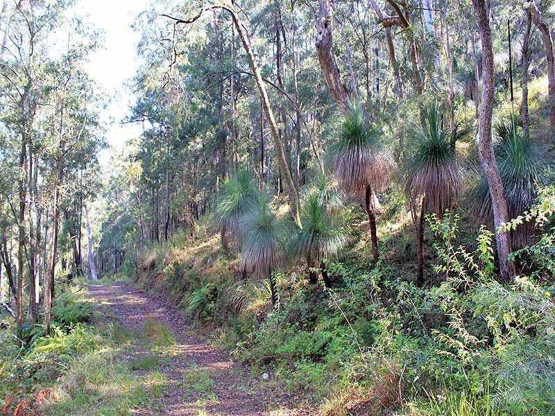 Lot 20 Toorumbee Rd, Moparrabah NSW 2440