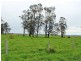 1647a Pacific Highway, Clybucca NSW 2440