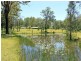 542 Spooners Avenue, Collombatti NSW 2440
