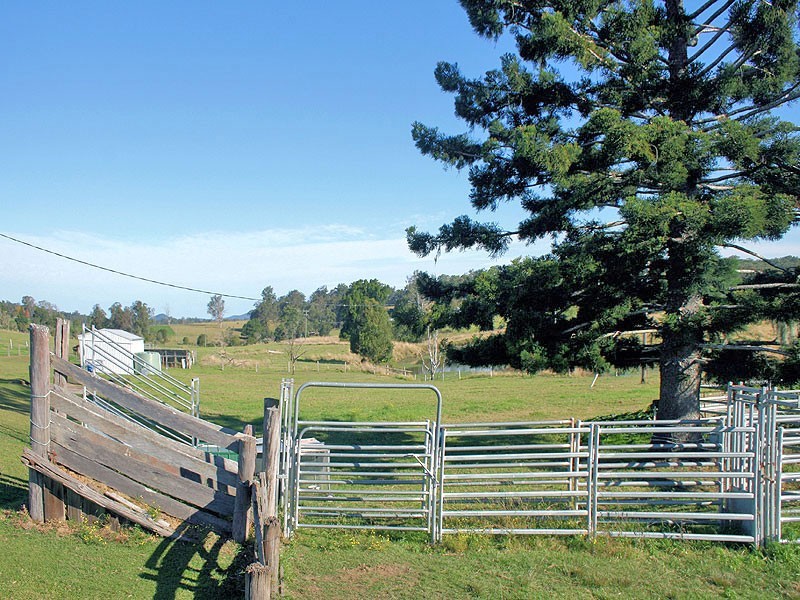 133 Turners Flat Road, Turners Flat NSW 2440