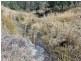 Lot 1092 Willi Willi Road, Turners Flat NSW 2440
