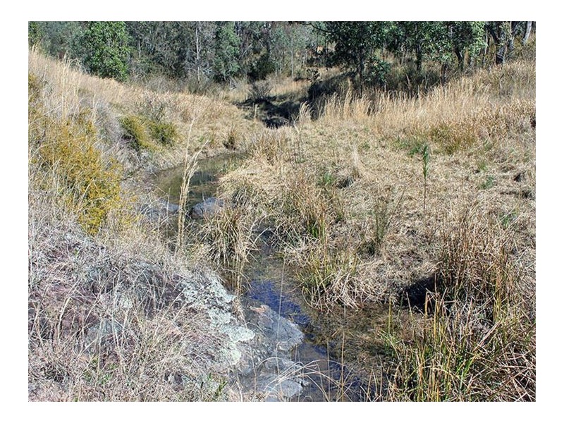 Lot 1092 Willi Willi Road, Turners Flat NSW 2440