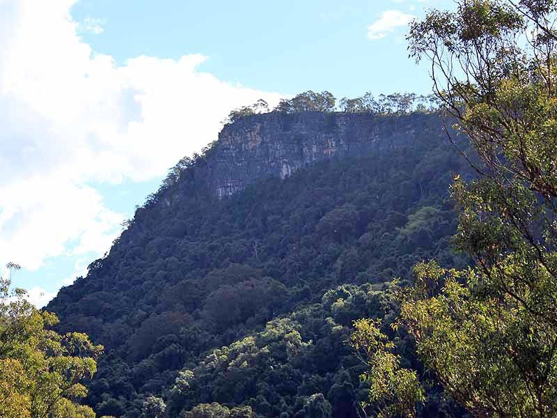 2973 Willi Willi Road, Moparrabah NSW 2440