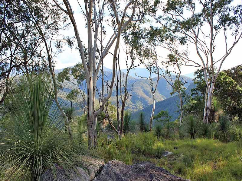 2973 Willi Willi Road, Moparrabah NSW 2440