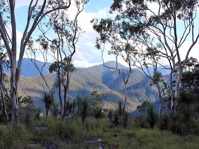 2973 Willi Willi Road, Moparrabah NSW 2440